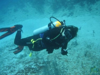  Diving tour